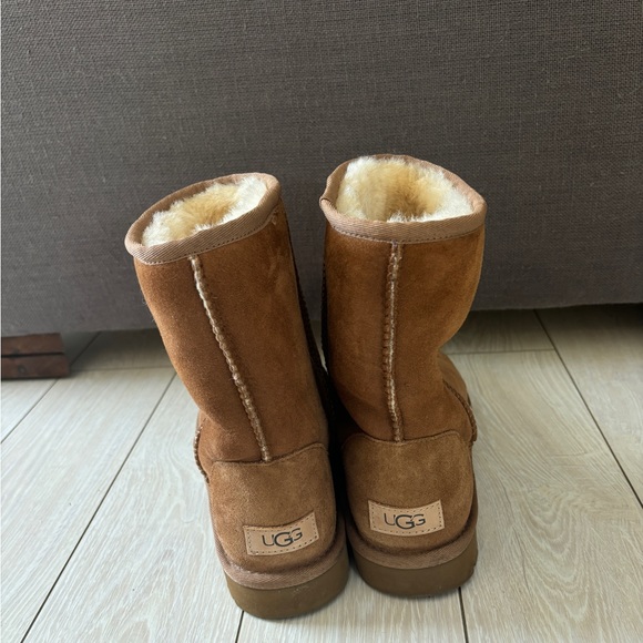 Classic Short Chestnut Uggs - Picture 4 of 4